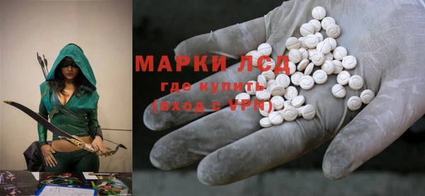 индика Богданович