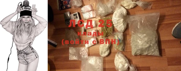 индика Богданович