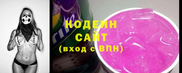индика Богданович