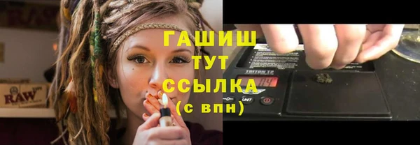 индика Богданович
