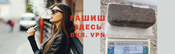 индика Богданович