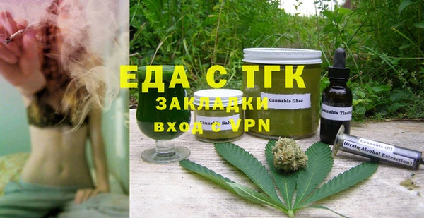 индика Богданович