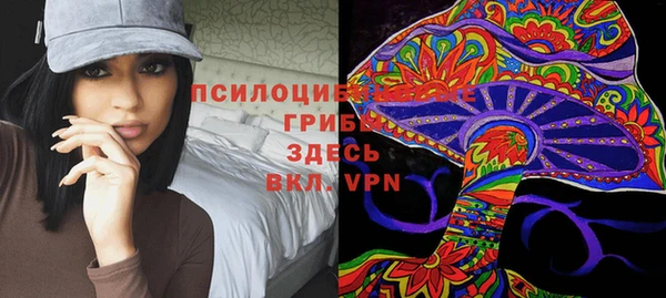 амфетамин Богородск