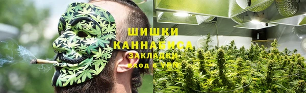 индика Богданович