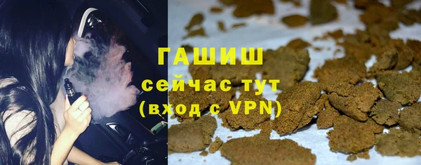индика Богданович