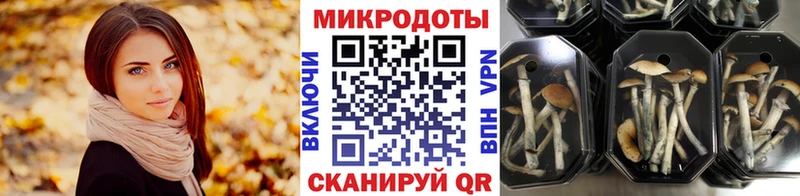 ОМГ ОМГ как зайти Дмитриев Галлюциногенные грибы ЛСД